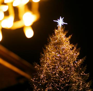 Saveurs et traditions de Noël sur la Côte d'Azur