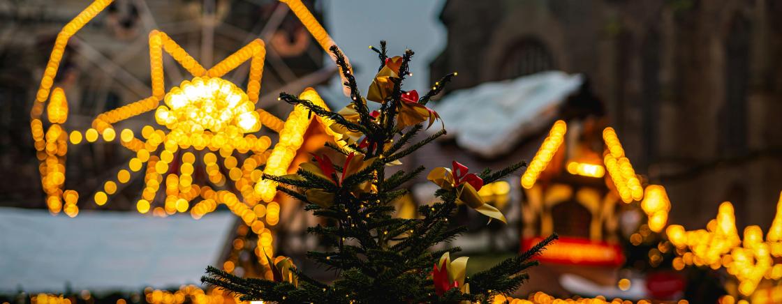 Fêtes de fin d'année à Cannes : ce qu’il ne faut pas manquer