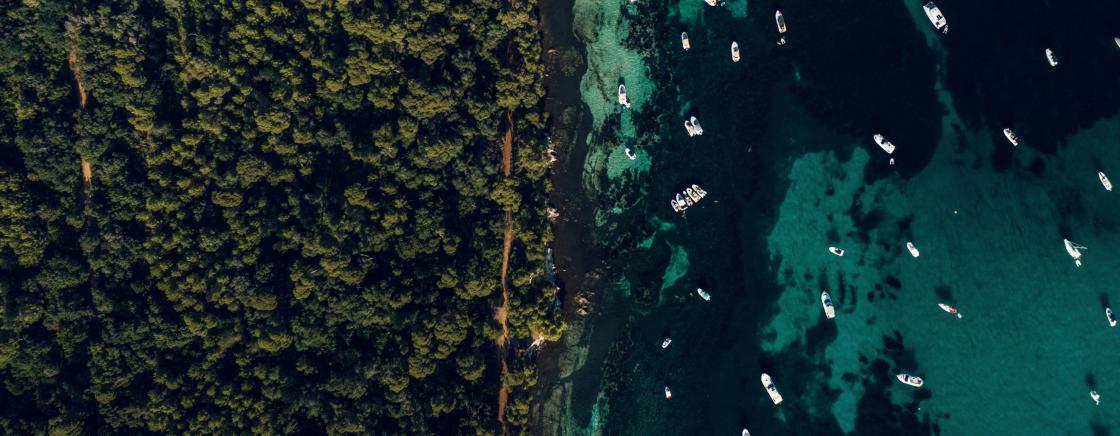 ÉVASION AUX ÎLES DE LÉRINS: LE JOUYAU CACHÉ DE LA BAIE DE CANNES