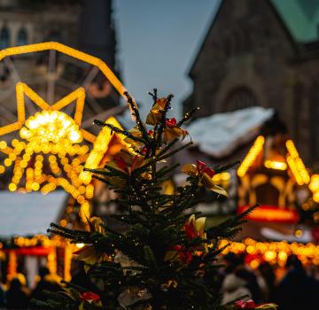 Fêtes de fin d'année à Cannes : ce qu’il ne faut pas manquer