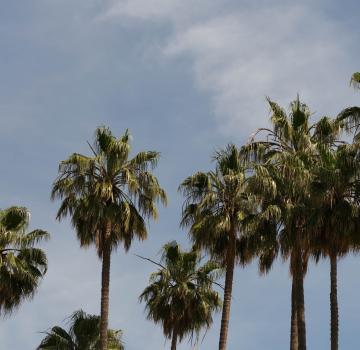 CANNES EN 24H : L’EXPÉRIENCE D’UN ÉPICURIEN