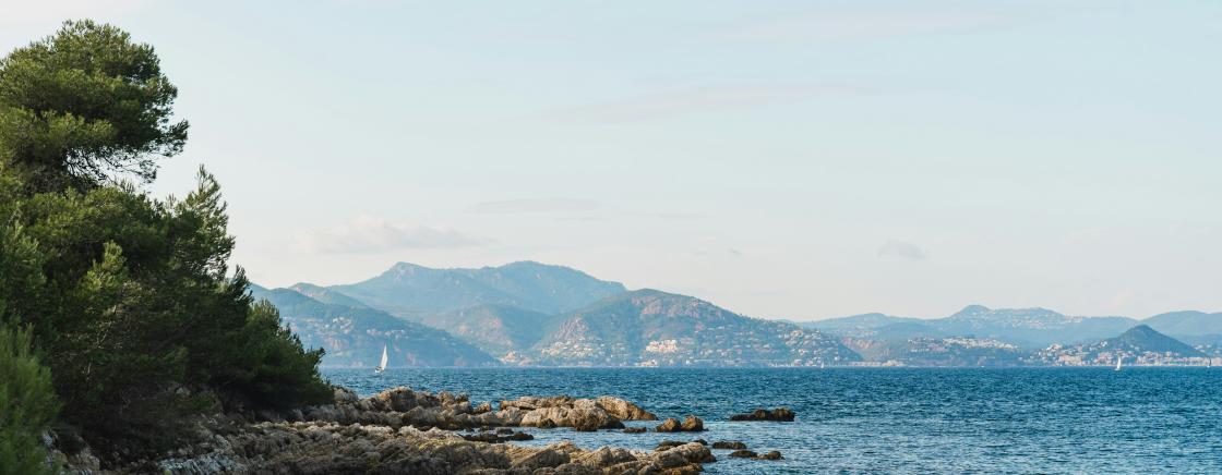 Cannes differently: Discover the city off the beaten path