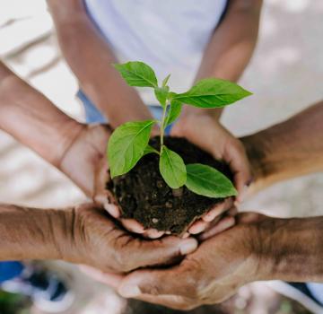 THE GREEN SPIRIT AT THE FIVE SEAS