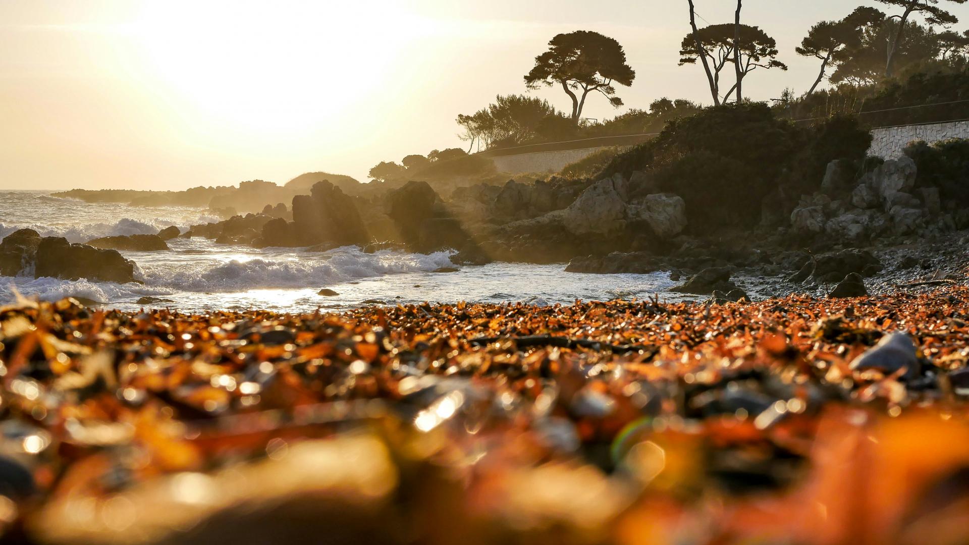 Five Seas Hotel - Expériences